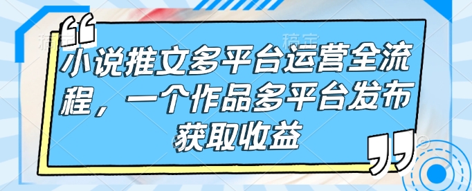 小说推文多平台运营全流程，一个作品多平台发布获取收益-百货大全