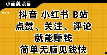 小而美的项目，抖音小红书B站视频点赞、关注、评论就能挣钱，简单无脑立见收益，妥妥的零撸项目【揭秘】-百货大全