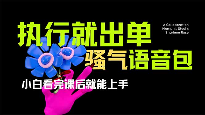 爆火全网的开车导航骚气语音包,只要执行就出单，小白看完课程就能实操…-百货大全