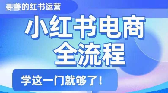 小红书电商全流程，精简易懂，从入门到精通，学这一门就够了-百货大全