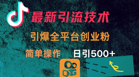 最新引流方法，引爆全平台的一个创业粉，简单操作日引300+-百货大全