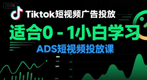 Tiktok短视频广告投放，适合0-1小白学习ADS短视频投放课-百货大全