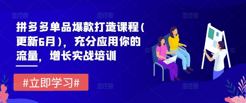 拼多多单品爆款打造课程(更新6月)，充分应用你的流量，增长实战培训-百货大全