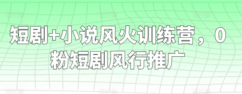 短剧+小说风火训练营，0粉短剧风行推广-百货大全