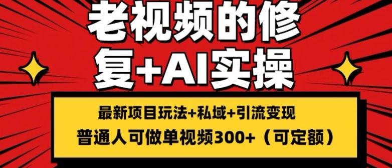 修复老视频的玩法，搬砖+引流的变现(可持久)，单条收益300+【揭秘】-百货大全