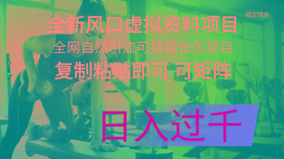 全新风口虚拟资料项目 全网自然引流可持续长久项目 复制粘贴即可可矩阵…-百货大全