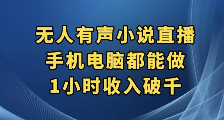 抖音无人有声小说直播，手机电脑都能做，1小时收入破千【揭秘】-百货大全