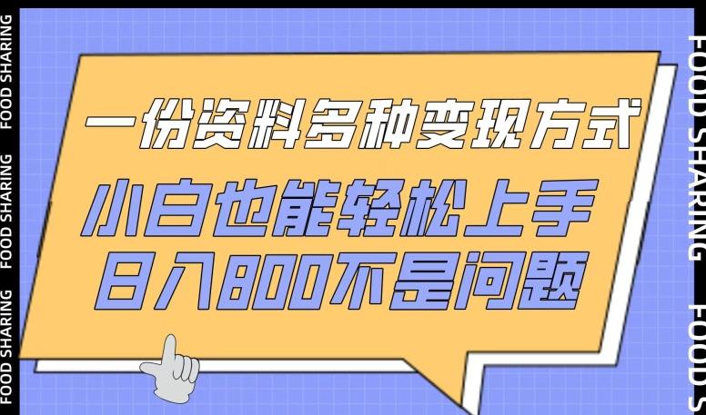 一份资料多种变现方式，小白也能轻松上手，日入800不是问题【揭秘】-百货大全