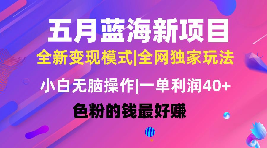 五月蓝海项目全新玩法，小白无脑操作，一天几分钟，矩阵操作，月入4万+-百货大全