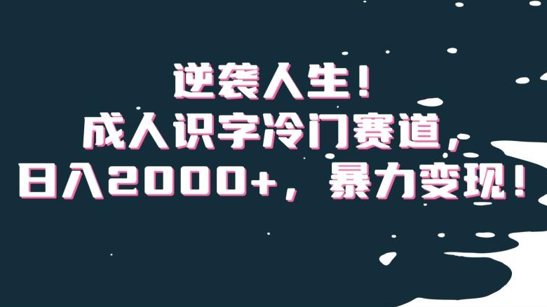 逆袭人生！成人识字冷门赛道，日入2000+，暴力变现！【揭秘】-百货大全