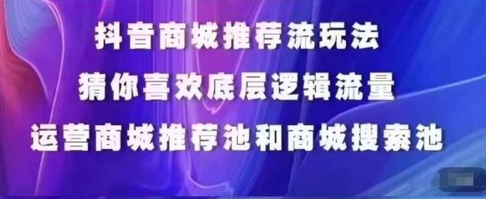 抖音商城运营课程，猜你喜欢入池商城搜索商城推荐人群标签覆盖-百货大全