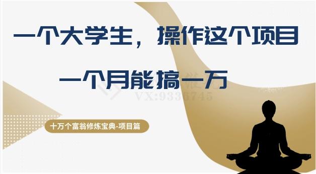 十万个富翁修炼宝典之4.一个大学生操作这个项目，一个月能搞一万-百货大全