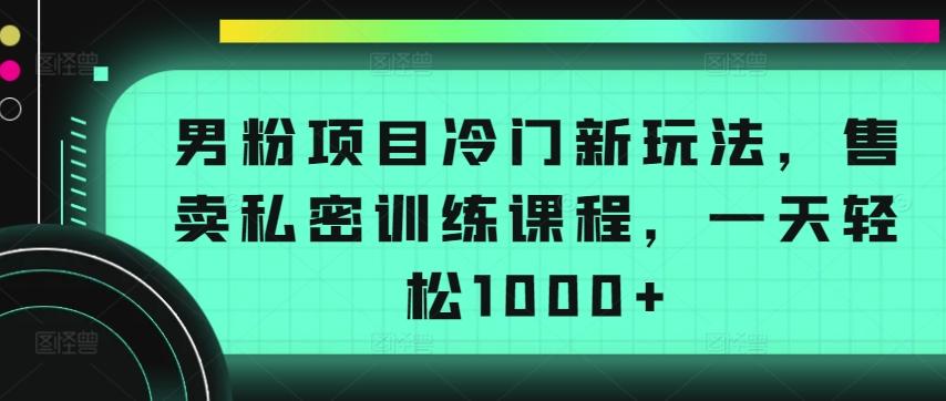 男粉项目冷门新玩法，售卖私密训练课程，一天轻松1000+【揭秘】-百货大全