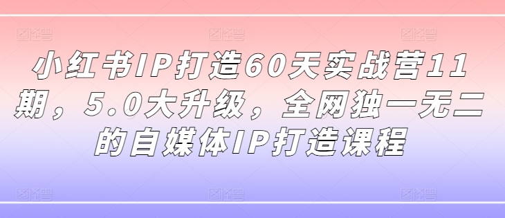 小红书IP打造60天实战营11期，5.0大升级，全网独一无二的自媒体IP打造课程-百货大全