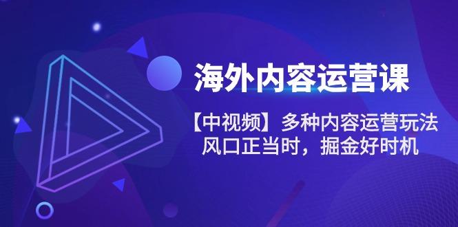 海外内容 运营课【中视频】多种内容运营玩法 风口正当时 掘金好时机-101节-百货大全