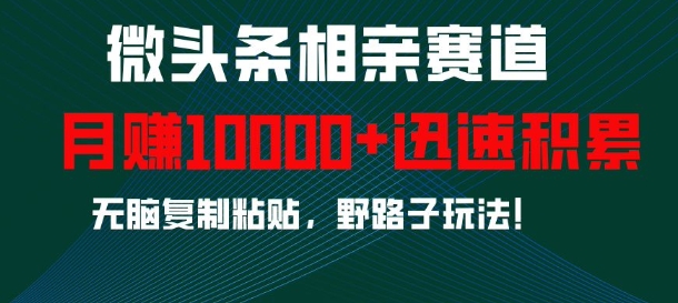 微头条相亲赛道，迅速积累，无脑复制粘贴，野路子玩法，月入1w-百货大全