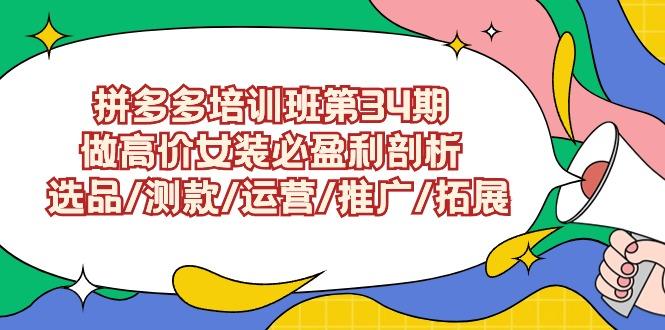(9333期)拼多多培训班第34期：做高价女装必盈利剖析  选品/测款/运营/推广/拓展-百货大全