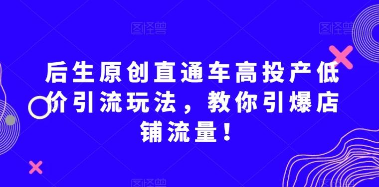 后生原创直通车高投产低价引流玩法，教你引爆店铺流量！-百货大全