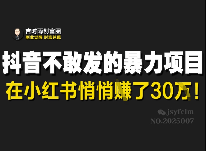 抖音不敢发的暴利项目，在小红书悄悄挣了30W-百货大全