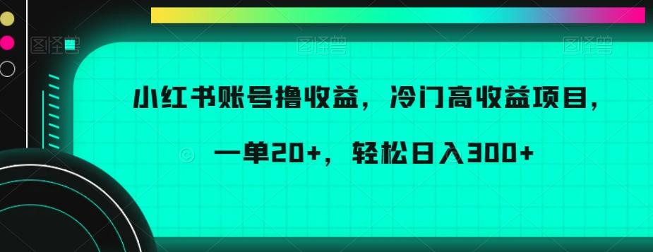 小红书账号撸收益，冷门高收益项目，一单20+，轻松日入300+【揭秘】-百货大全