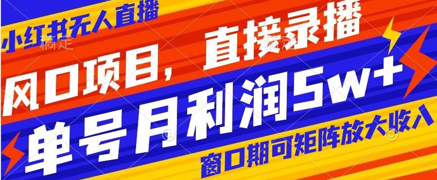 风口项目，小红书无人直播带货，直接录播，可矩阵，月入5w+【揭秘】-百货大全