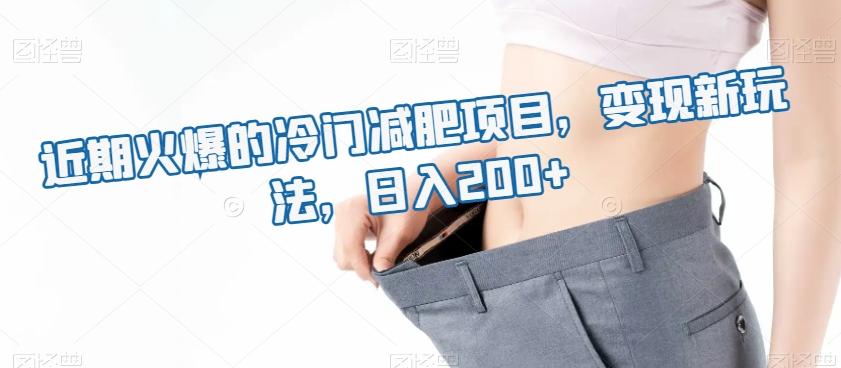 近期火爆的冷门减肥项目，变现新玩法，日入200+-百货大全