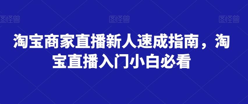 淘宝商家直播新人速成指南，淘宝直播入门小白必看-百货大全