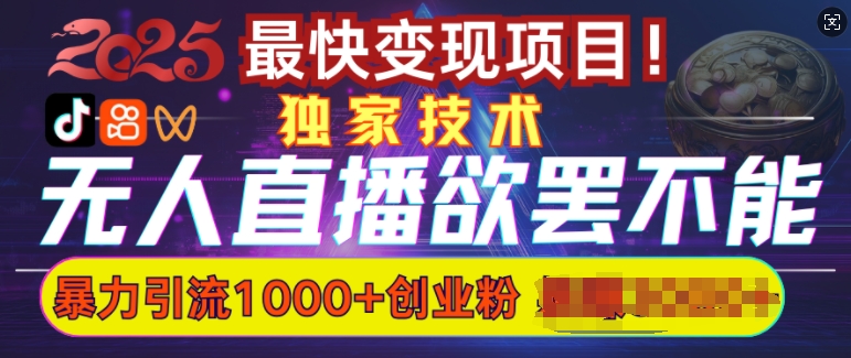 欲罢不能的无人直播引流，超暴力日引流1000+高质量精准创业粉-百货大全