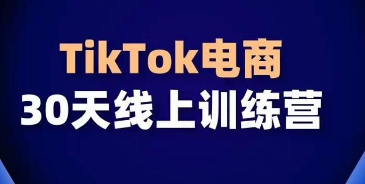 TikTok电商带货30天线上课，不可错过的全球流量洼地！-百货大全