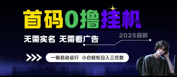 首码0撸挂G项目，无需实名无需看广告 一键启动运行，小白轻松日入三位数【揭秘】-百货大全
