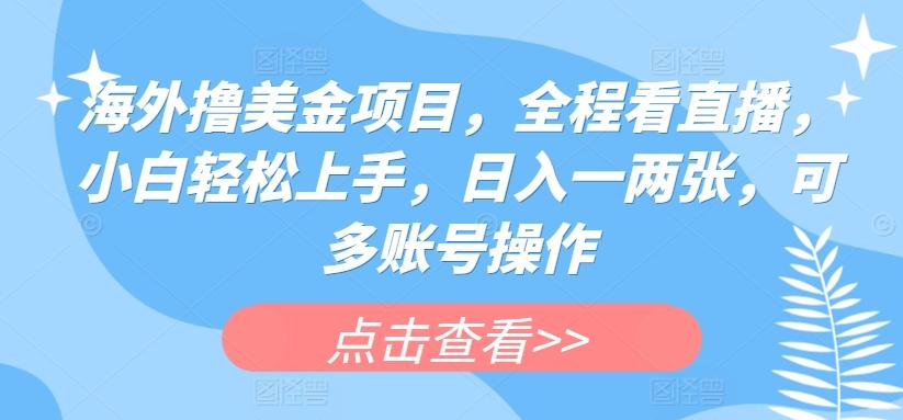 海外撸美金项目，全程看直播，小白轻松上手，日入一两张，可多账号操作【揭秘】-百货大全