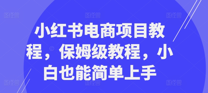 小红书电商项目教程，保姆级教程，小白也能简单上手-百货大全