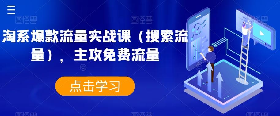 淘系爆款流量实战课（搜索流量），主攻免费流量-百货大全