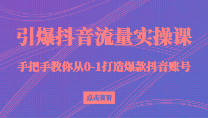 引爆抖音流量实操课，手把手教你从0-1打造爆款抖音账号(27节课)-百货大全