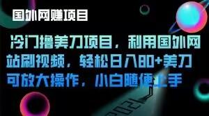 冷门撸美刀项目，利用国外网站刷视频，轻松日入80+美刀，可放大操作，小白随便上手-百货大全