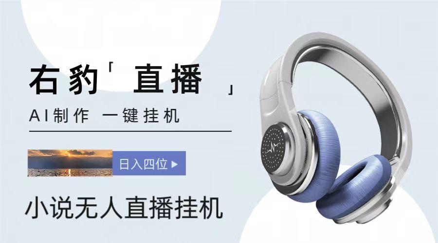 右豹小说无人直播挂机吸金项目，简单易行收益稳定， 月入1000+-百货大全