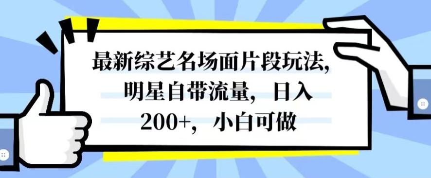 最新综艺名场面片段玩法，明星自带流量，日入200+，小白可做【揭秘】-百货大全