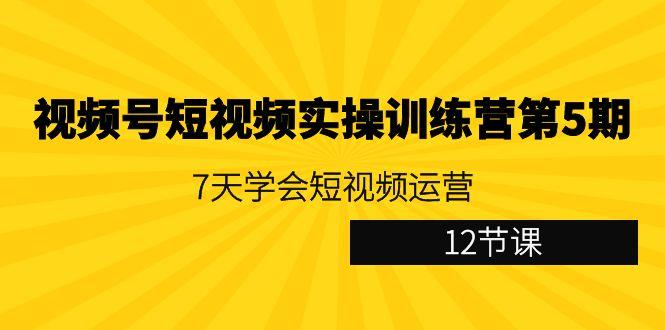 视频号短视频实操训练营第5期：7天学会短视频运营(12节课)-百货大全