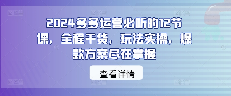 2024多多运营必听的12节课，全程干货，玩法实操，爆款方案尽在掌握-百货大全