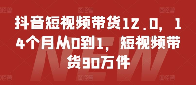 抖音短视频带货12.0，14个月从0到1，短视频带货90万件-百货大全