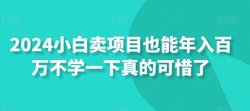 2024小白卖项目也能年入百万不学一下真的可惜了-百货大全