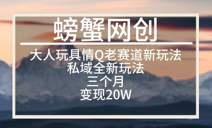 大人玩具情Q用品赛道私域全新玩法，三个月变现20W，老项目新思路【揭秘】-百货大全