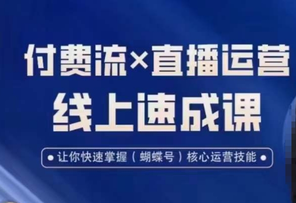 视频号付费流实操课程，付费流✖️直播运营速成课，让你快速掌握视频号核心运营技能-百货大全