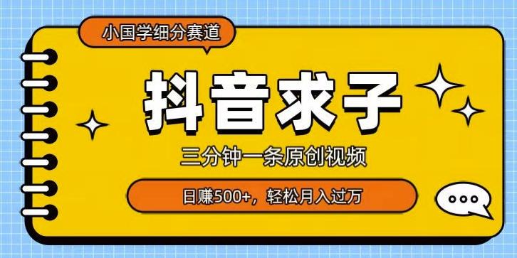 小国学细分赛道，三分钟一条原创视频，日赚500+，可矩阵复制-百货大全