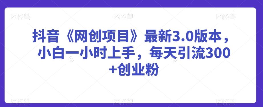 抖音《网创项目》最新3.0版本，小白一小时上手，每天引流300+创业粉【揭秘】-百货大全