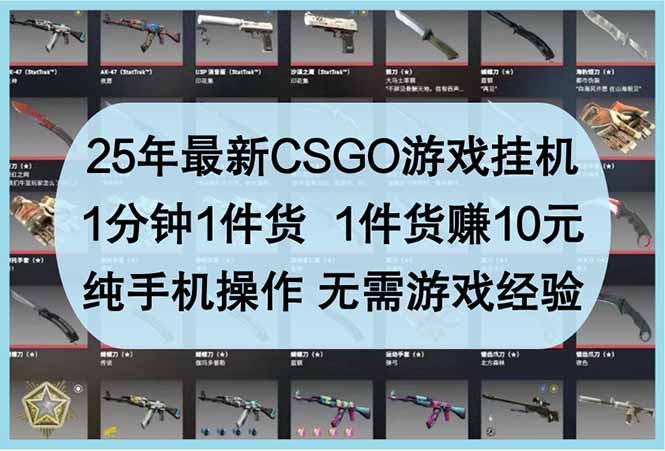25年最新CSGO游戏挂机，1分钟1件货，1件货赚10元 纯手机操作 无需游戏经验-百货大全