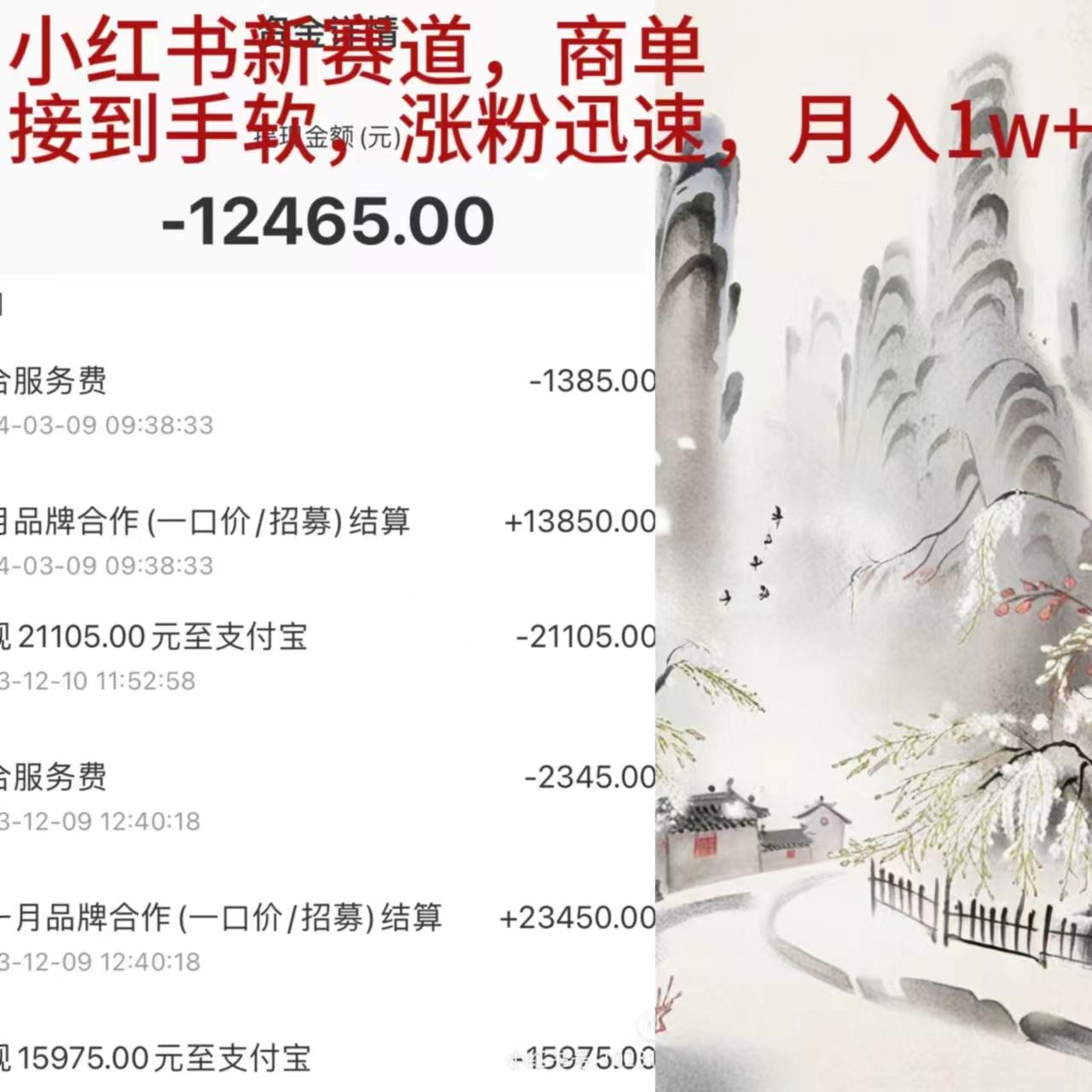 (9476期)小红书新赛道，商单接到手软，涨粉迅速，月入1w+-百货大全