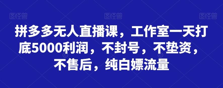 拼多多无人直播课，工作室一天打底5000利润，不封号，不垫资，不售后，纯白嫖流量-百货大全