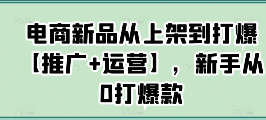 电商新品从上架到打爆【推广+运营】，新手从0打爆款-百货大全