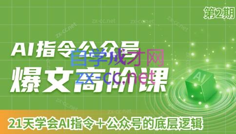 AI破局俱乐部·AI指令公众号高阶课（第2期）-百货大全